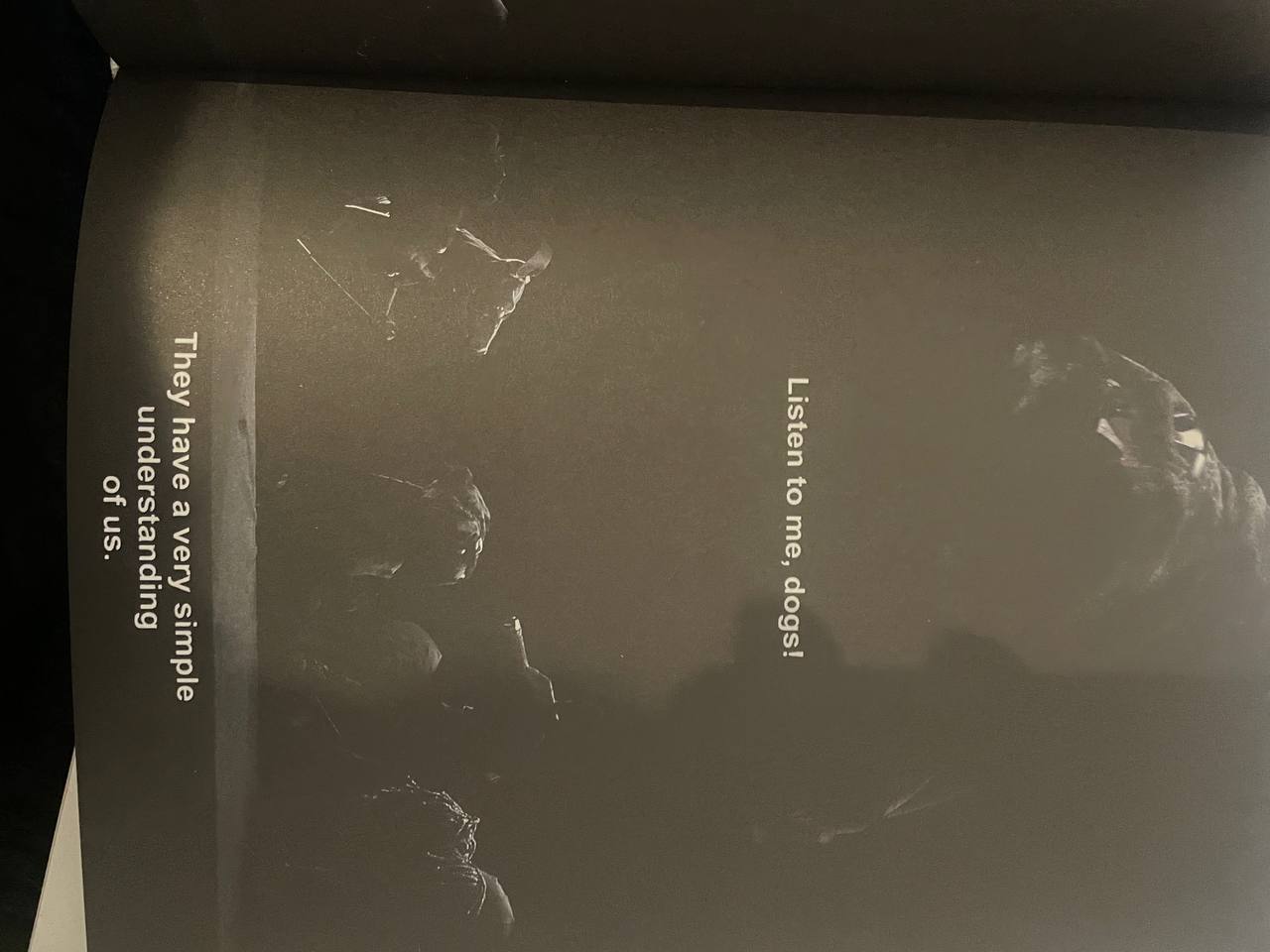 photo_2023-11-23 11.34.39.jpeg